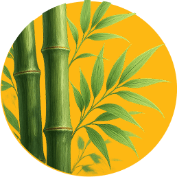 Bamboo illustration